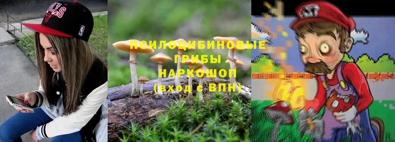 Галлюциногенные грибы Cubensis Болотное